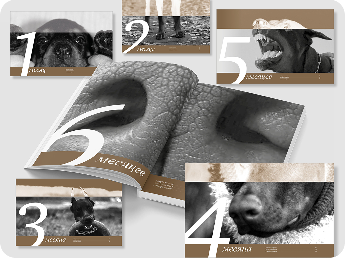 Главы книги: 2, 3, 4, 5